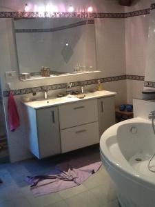 a bathroom with a sink and a toilet and a mirror at une fermette climatisée en pleine nature in Moirax +6 photos