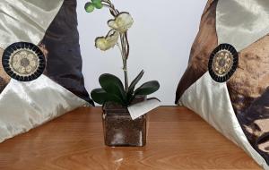 a vase with a plant in it on a table at Apartman Bella in Sarajevo
