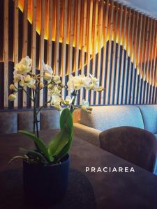 オルティゼーイにあるPra Ciarea Apartmentsの花瓶