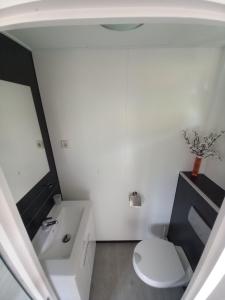 a bathroom with a white toilet and a sink at Vakantiewoningen Ut Tumpke in Kessel