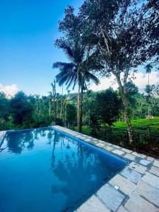 een zwembad met een palmboom naast een hek bij LetStay Vythiri Hill Palace in Vythiri