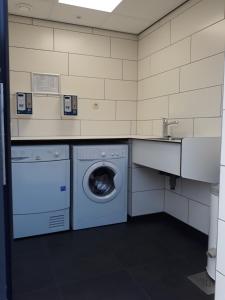 a laundry room with a washing machine and a sink at Vakantiewoningen Ut Tumpke in Kessel