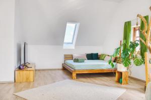 a living room with a couch and a plant at Luxus Apartment! Küche, Balkon, Netflix, Parkplatz - 8 Personen in Ilmmünster