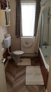 a bathroom with a toilet and a shower and a window at Bloomsbury 2 room flat in London