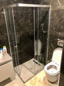 uma casa de banho com uma cabina de duche em vidro e um WC. em Secured Lux 1-bedrroom apartment - Gym, Sauna & Parking 193 em Beylikdüzü