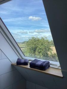 a window in a bathroom with two purple towels on a shelf at Storchennest am Dümmer in Lembruch