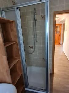 y baño con ducha y puerta de cristal. en Ferienwohnung Sara, en Ühlingen-Birkendorf