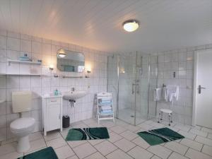 een badkamer met een toilet, een wastafel en een douche bij Ingrids Ferienwohnung in Erfde