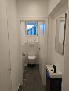 baño pequeño con aseo y ventana en Goldstadt Apartments en Pforzheim