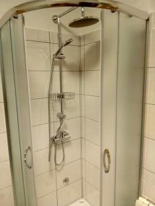 a shower with a glass door in a bathroom at Apartments Milenka in Punat +40 photos