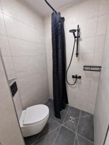 un baño con inodoro y ducha en 1 Bedroom im Zentrum, en Schleswig