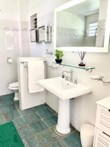 La salle de bains blanche est pourvue d'un lavabo et de toilettes. dans l'établissement BluePalm case, à Petit-Bourg