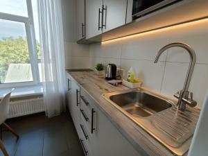 a kitchen with a sink and a window at Apartments Bis House in Dnipro