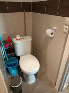 un bagno con un water bianco in una cabina di MAISON DU BONHEUR a Lesparre-Médoc Altre 15 foto