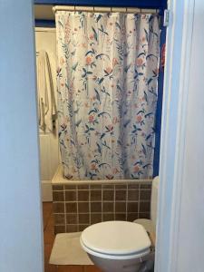 ein Bad mit einem WC und einem Duschvorhang in der Unterkunft Le Cardinale - Un Voyage en Provence - 2 chambres avec parking in Aix-en-Provence