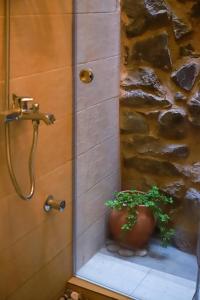 a shower with a plant in a pot in a bathroom at Hanging Terraces المدرجات المعلقة in Al ‘Aqar
