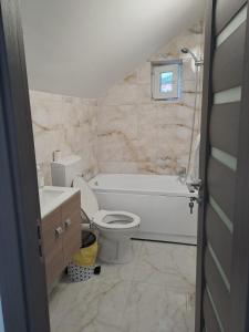 a bathroom with a toilet and a tub and a sink at Mareto House in Turda
