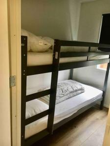 Двухъярусная кровать или двухъярусные кровати в номере Heerlijk huisje op de Veluwe