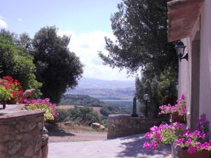 a house with flowers and a view of a valley at Agriturismo il Pozzo in Campagnatico