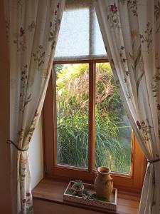 Zahrada ubytování Ferienwohnung an der Elbe