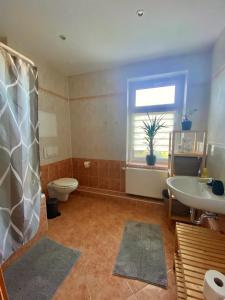 ein Bad mit einem Waschbecken, einem WC und einer Dusche in der Unterkunft Gemütliche 3-Zimmer Ferienwohnung in Leipzig 1 OG in Leipzig