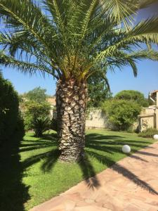 Zahrada ubytování Mon petit coin de paradis