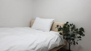 a white bed with a pillow and a plant at Seoul Vibes in Seoul
