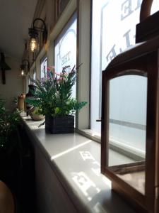 a row of windows with potted plants on a counter at The Bugle Inn in Southampton