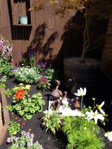 un jardín con patos y flores y un árbol en The Bugle Inn en Southampton