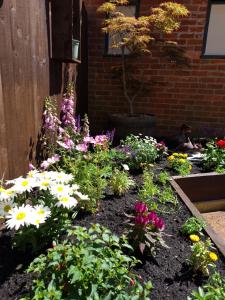a garden of flowers in front of a brick building at The Bugle Inn in Southampton
