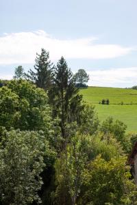 a view of a field and trees from a house at LA BATISSE l'arbre gris in Le Grand-Abergement