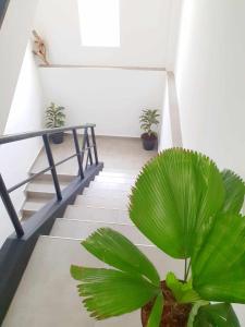 Fotografie z fotogalerie ubytování MountBaylk v destinaci Mount Lavinia