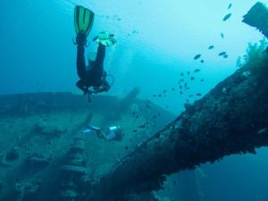 a person swimming in the ocean next to a wreck at Friends Oasis in Aqaba +17 photos