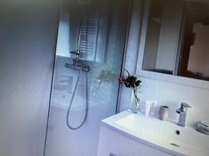a bathroom with a shower and a sink and a shower at Chez Tobi in Bazincourt-sur-Epte