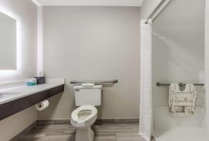 Bilik mandi di MainStay Suites Bourbonnais - Kankakee