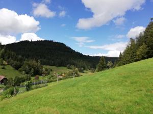 ein grüner Grashügel mit einem Zaun und Bäumen in der Unterkunft Appart Herzglück in Bad Rippoldsau-Schapbach