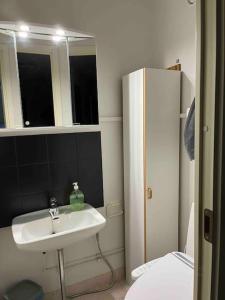 a small bathroom with a sink and a mirror at Hyvällä sijainnilla iso kaksio Hervannassa in Tampere
