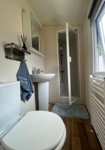 a bathroom with a white toilet and a sink at Lovely 2-Bed Cabin in Birchington in Birchington