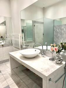 a bathroom with a sink and a large mirror at Sisi Apartment in Vienna