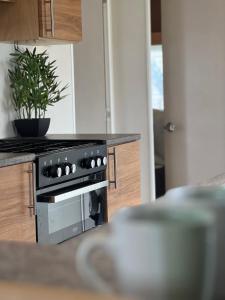 a kitchen with a stove and a potted plant at Lovely 2-Bed Cabin in Birchington in Birchington