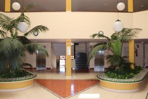 Kép Espectacular apartamento szállásáról Puerto de Santiagóban a galériában