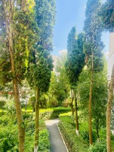 a path through the trees in a park at Nono's apartament in Cluj-Napoca