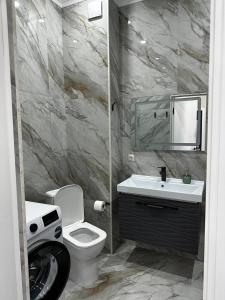 La salle de bains est pourvue de toilettes, d'un lavabo et d'un miroir. dans l'établissement Expo Avenue, à Taldykolʼ