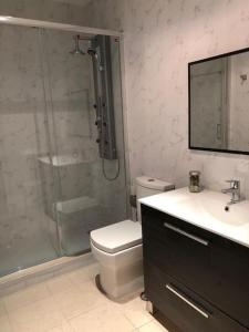 La salle de bains est pourvue d'une douche, de toilettes et d'un lavabo. dans l'établissement Bonito apartamento en Calle San Carlos, à Madrid