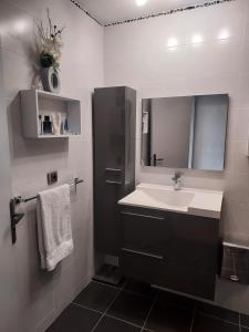 La salle de bains est pourvue d'un lavabo et d'un miroir. dans l'établissement LES JARDINS D'ATILLY, à Villecresnes