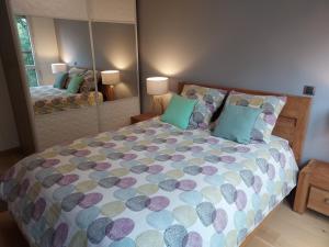 1 dormitorio con 1 cama grande y espejo en LES JARDINS D'ATILLY, en Villecresnes
