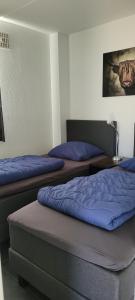 twee bedden in een kamer met blauwe kussens bij Vakantiehuis 6pers op park 't Broeckhuys in Ewijk groot Zwemplas in het land van Maas & Waal niet voor arbeidsmigranten in Ewijk