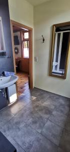 a bathroom with a sink and a mirror on the wall at Pension Hochheimer Schlösschen in Erfurt