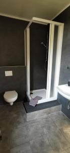 ein Bad mit einer Dusche, einem WC und einem Waschbecken in der Unterkunft Pension Hochheimer Schlösschen in Erfurt
