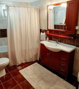 y baño con lavabo, aseo y espejo. en Evaggelia's Apartments 5 Οικογενειακό Διαμέρισμα, en Kozani